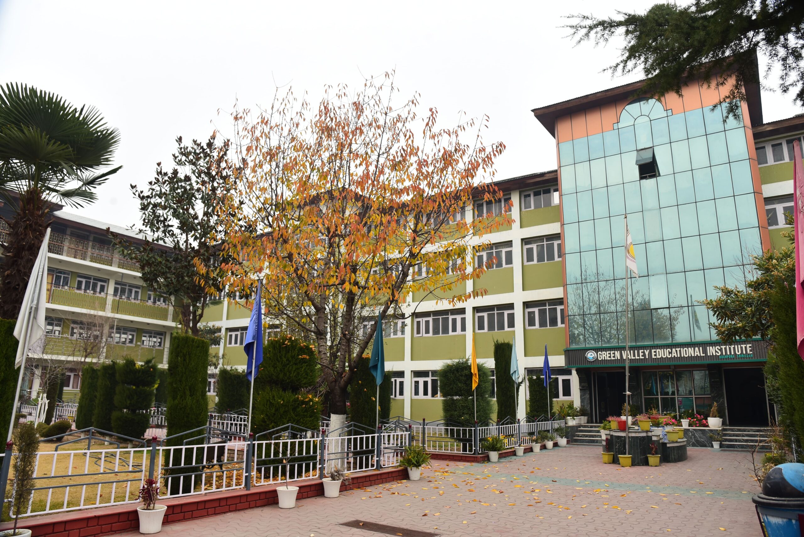 DSC_5648 (1)